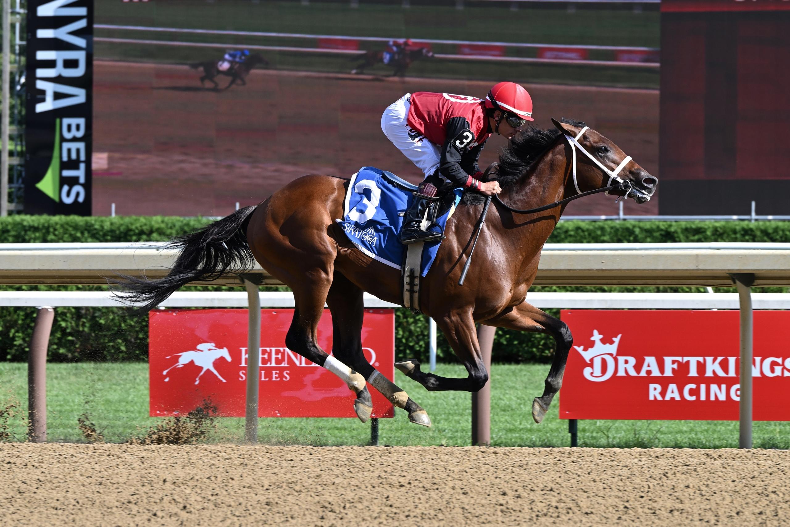 Q B Rocket, Rookie Rankings, Kentucky Derby, Triple Crown, horse racing, America's Best Racing, ABR Q B Rocket, Rookie Rankings, Kentucky Derby, Triple Crown, horse racing, America's Best Racing, ABR